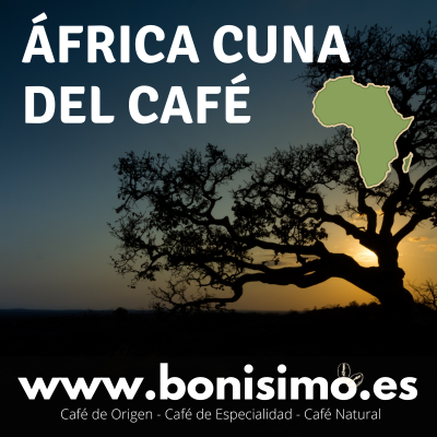 Pack Cafés Africanos