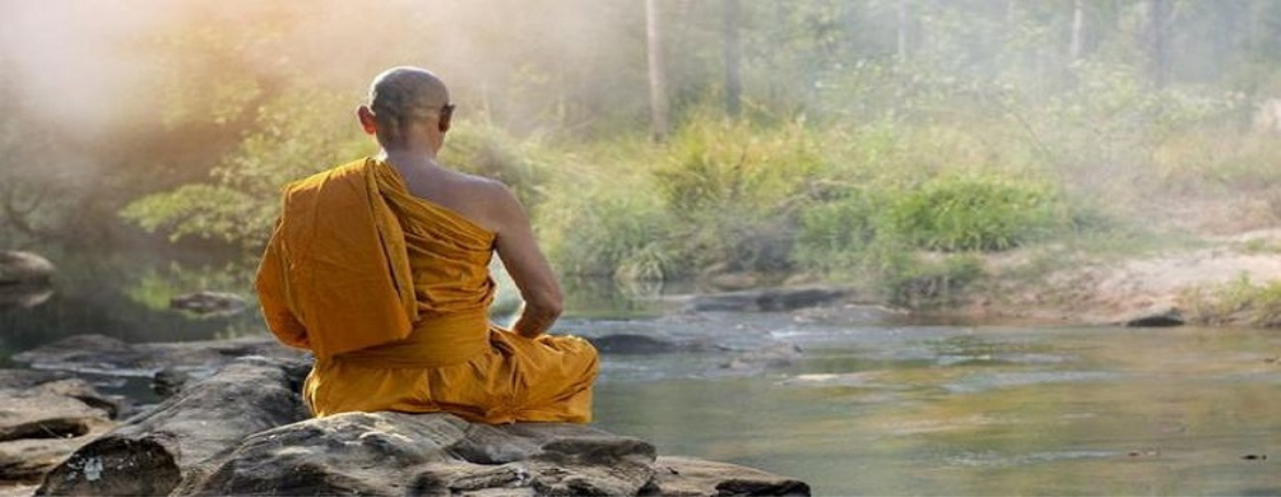 Té, budismo y meditación