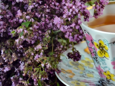 ¿Cuántas tazas de té debo tomar al día si deseo bajar peso?