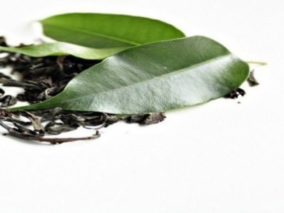 El té verde complemento para platos sanos y naturales.